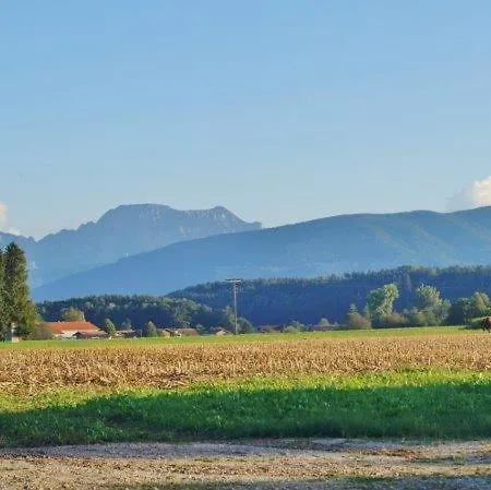 Muehlberger Hof Farma Petting