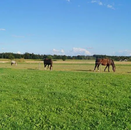 Farma Muehlberger Hof Petting