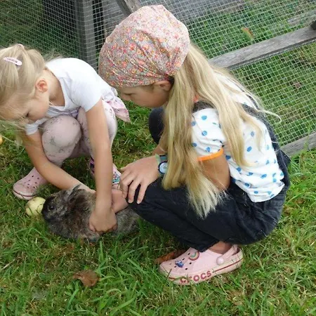 Mühlberger Hof Agroturismo Petting