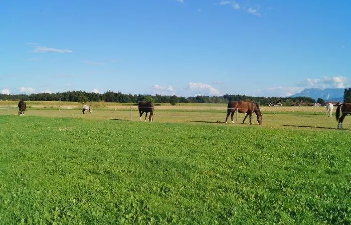 Séjour à la ferme Muehlberger Hof Petting